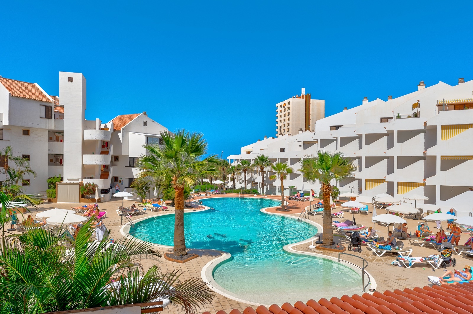 1 Bedroom | Paloma Beach